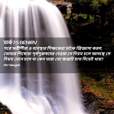 Picture 02 - মার্ক 7:5 BENIRV - পরে ফরীশীরা ও - Bible Verse Picture