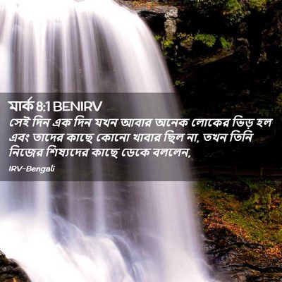 Picture 02 - মার্ক 8:1 BENIRV - সেই দিন এক দিন যখন - Bible Verse Picture