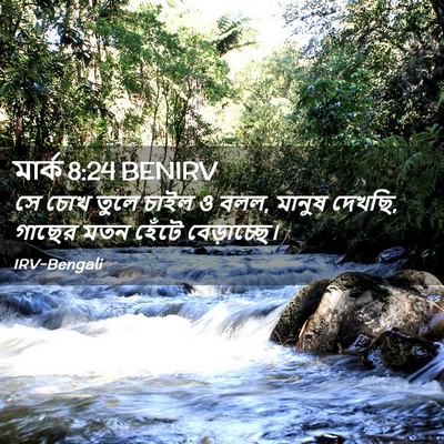 Picture 02 - মার্ক 8:24 BENIRV - সে চোখ তুলে চাইল ও - Bible Verse Picture