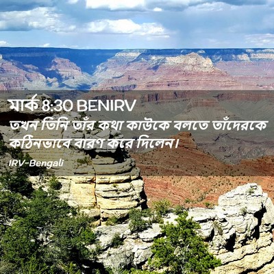 Picture 02 - মার্ক 8:30 BENIRV - তখন তিনি তাঁর কথা - Bible Verse Picture