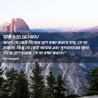 Picture 02 - মার্ক 8:35 BENIRV - কারণ যে কেউ নিজের - Bible Verse Picture