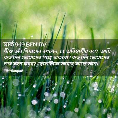 Picture 02 - মার্ক 9:19 BENIRV - যীশু তাঁর - Bible Verse Picture