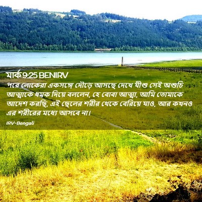 Picture 02 - মার্ক 9:25 BENIRV - পরে লোকেরা - Bible Verse Picture