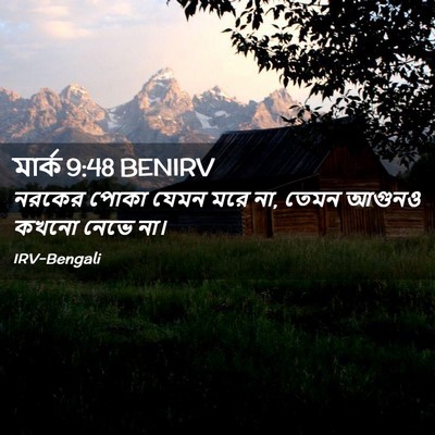 Picture 02 - মার্ক 9:48 BENIRV - নরকের পোকা যেমন - Bible Verse Picture