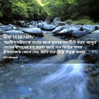 Picture 02 - মীখা 1:6 BENIRV - “আমি শমরিয়াকে - Bible Verse Picture
