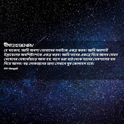 Picture 02 - মীখা 2:12 BENIRV - হে যাকোব, আমি অবশ্য - Bible Verse Picture