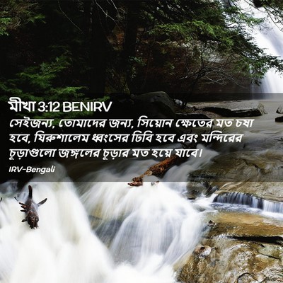 Picture 02 - মীখা 3:12 BENIRV - সেইজন্য, তোমাদের - Bible Verse Picture