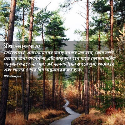 Picture 02 - মীখা 3:6 BENIRV - সেইজন্যেই, এটা - Bible Verse Picture