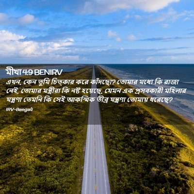 Picture 02 - মীখা 4:9 BENIRV - এখন, কেন তুমি - Bible Verse Picture
