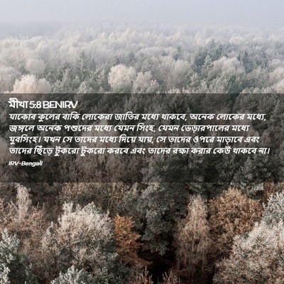 Picture 02 - মীখা 5:8 BENIRV - যাকোব কুলের বাকি - Bible Verse Picture