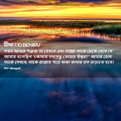 Picture 02 - মীখা 7:10 BENIRV - তখন আমার শত্রুরা - Bible Verse Picture
