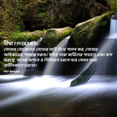 Picture 02 - মীখা 7:14 BENIRV - তোমার লোকেদের - Bible Verse Picture