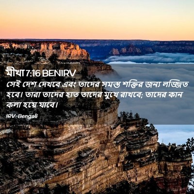 Picture 02 - মীখা 7:16 BENIRV - সেই দেশ দেখবে এবং - Bible Verse Picture