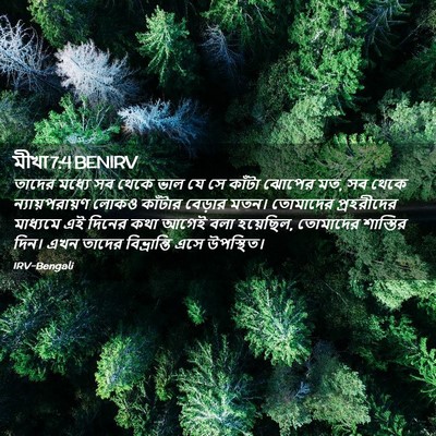 Picture 02 - মীখা 7:4 BENIRV - তাদের মধ্যে সব - Bible Verse Picture