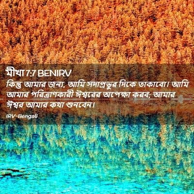 Picture 02 - মীখা 7:7 BENIRV - কিন্তু আমার জন্য, - Bible Verse Picture