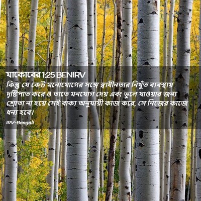 Picture 02 - যাকোবের 1:25 BENIRV - কিন্তু যে কেউ - Bible Verse Picture