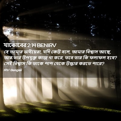 Picture 02 - যাকোবের 2:14 BENIRV - হে আমার ভাইয়েরা, - Bible Verse Picture