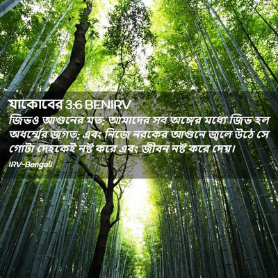 Picture 02 - যাকোবের 3:6 BENIRV - জিভও আগুনের মত; - Bible Verse Picture