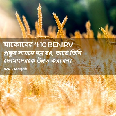 Picture 02 - যাকোবের 4:10 BENIRV - প্রভুর সামনে নম্র - Bible Verse Picture