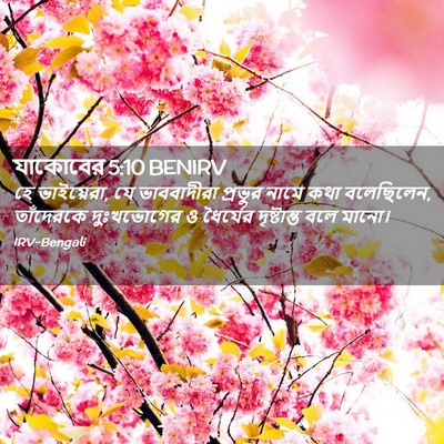 Picture 02 - যাকোবের 5:10 BENIRV - হে ভাইয়েরা, যে - Bible Verse Picture