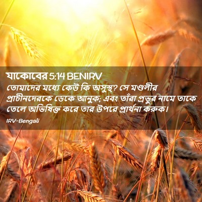 Picture 02 - যাকোবের 5:14 BENIRV - তোমাদের মধ্যে কেউ - Bible Verse Picture