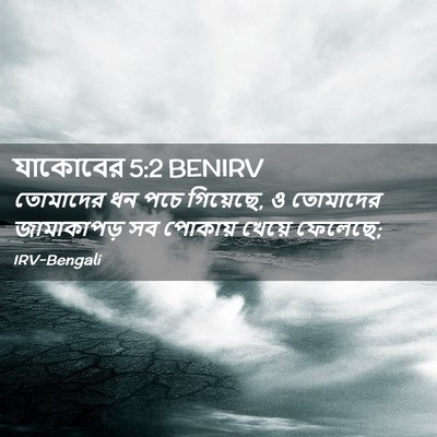 Picture 02 - যাকোবের 5:2 BENIRV - তোমাদের ধন পচে - Bible Verse Picture