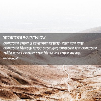 Picture 02 - যাকোবের 5:3 BENIRV - তোমাদের সোনা ও - Bible Verse Picture