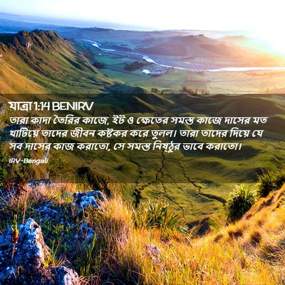 Picture 02 - যাত্ৰা 1:14 BENIRV - তারা কাদা তৈরির - Bible Verse Picture