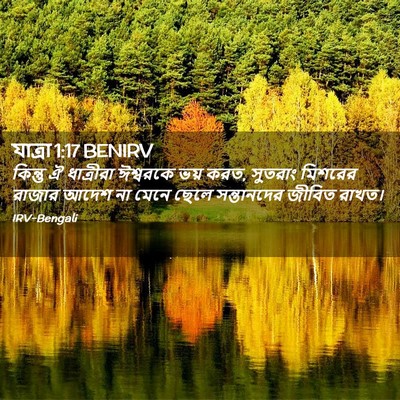 Picture 02 - যাত্ৰা 1:17 BENIRV - কিন্তু ঐ ধাত্রীরা - Bible Verse Picture