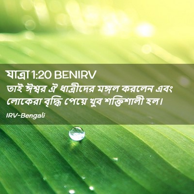 Picture 02 - যাত্ৰা 1:20 BENIRV - তাই ঈশ্বর ঐ - Bible Verse Picture