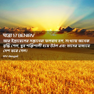 Picture 02 - যাত্ৰা 1:7 BENIRV - আর ইস্রায়েলের - Bible Verse Picture