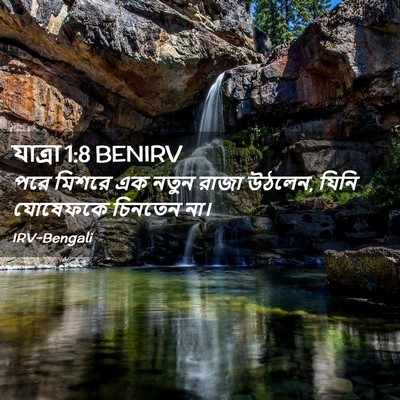 Picture 02 - যাত্ৰা 1:8 BENIRV - পরে মিশরে এক নতুন - Bible Verse Picture