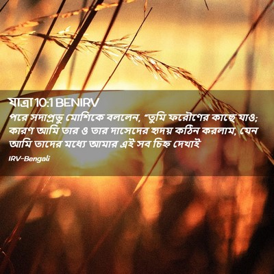 Picture 02 - যাত্ৰা 10:1 BENIRV - পরে সদাপ্রভু - Bible Verse Picture