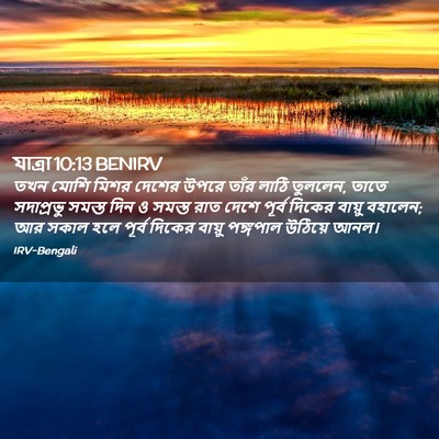 Picture 02 - যাত্ৰা 10:13 BENIRV - তখন মোশি মিশর - Bible Verse Picture