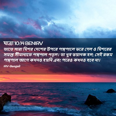 Picture 02 - যাত্ৰা 10:14 BENIRV - তাতে সারা মিশর - Bible Verse Picture