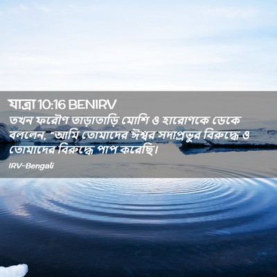 Picture 02 - যাত্ৰা 10:16 BENIRV - তখন ফরৌণ - Bible Verse Picture