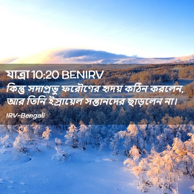Picture 02 - যাত্ৰা 10:20 BENIRV - কিন্তু সদাপ্রভু - Bible Verse Picture