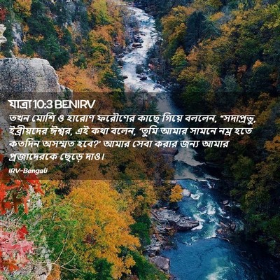 Picture 02 - যাত্ৰা 10:3 BENIRV - তখন মোশি ও হারোণ - Bible Verse Picture