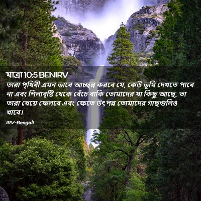 Picture 02 - যাত্ৰা 10:5 BENIRV - তারা পৃথিবী এমন - Bible Verse Picture