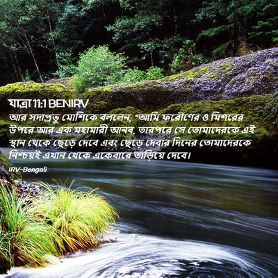 Picture 02 - যাত্ৰা 11:1 BENIRV - আর সদাপ্রভু - Bible Verse Picture