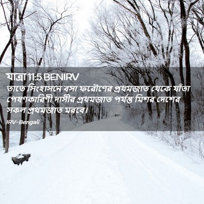 Picture 02 - যাত্ৰা 11:5 BENIRV - তাতে সিংহাসনে বসা - Bible Verse Picture