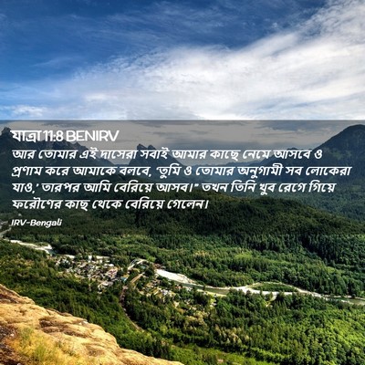 Picture 02 - যাত্ৰা 11:8 BENIRV - আর তোমার এই দাসেরা - Bible Verse Picture