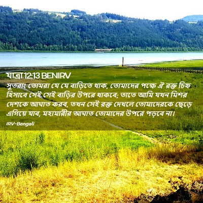 Picture 02 - যাত্ৰা 12:13 BENIRV - সুতরাং তোমরা যে যে - Bible Verse Picture