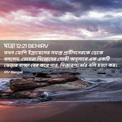Picture 02 - যাত্ৰা 12:21 BENIRV - তখন মোশি - Bible Verse Picture