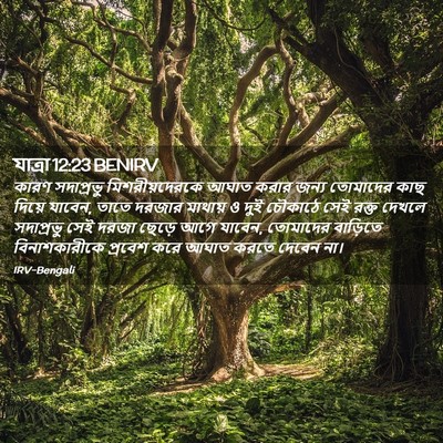 Picture 02 - যাত্ৰা 12:23 BENIRV - কারণ সদাপ্রভু - Bible Verse Picture