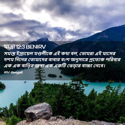 Picture 02 - যাত্ৰা 12:3 BENIRV - সমস্ত ইস্রায়েল - Bible Verse Picture