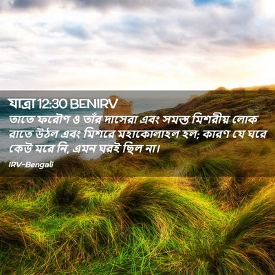 Picture 02 - যাত্ৰা 12:30 BENIRV - তাতে ফরৌণ ও তাঁর - Bible Verse Picture