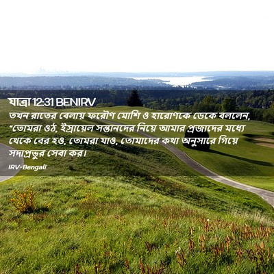 Picture 02 - যাত্ৰা 12:31 BENIRV - তখন রাতের বেলায় - Bible Verse Picture