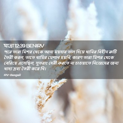 Picture 02 - যাত্ৰা 12:39 BENIRV - পরে তারা মিশর থেকে - Bible Verse Picture