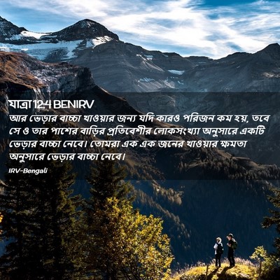 Picture 02 - যাত্ৰা 12:4 BENIRV - আর ভেড়ার বাচ্চা - Bible Verse Picture